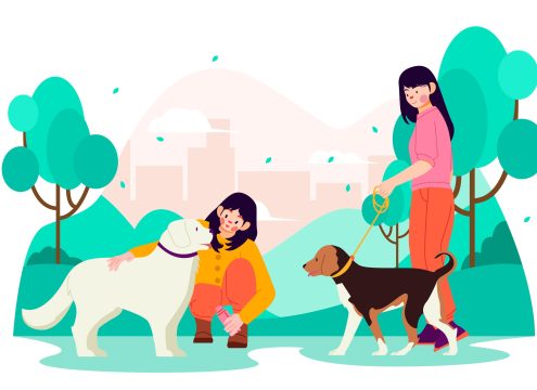 Dog Training