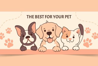 Pet care 101