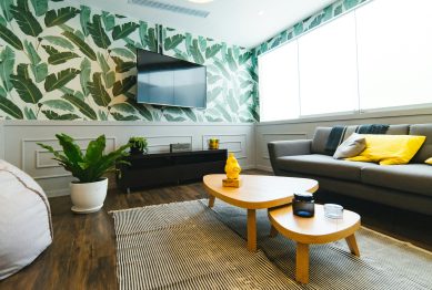 Childproofing and Petproofing