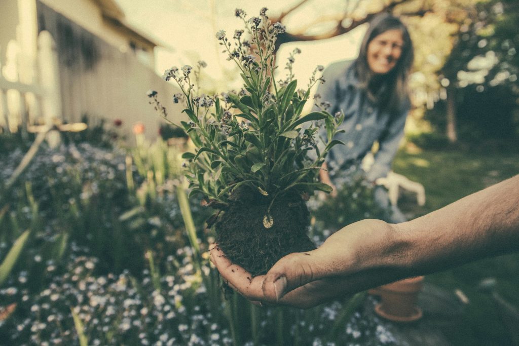 Common Gardening Mistakes