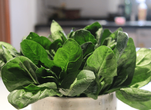 Grow fresh veggies for less